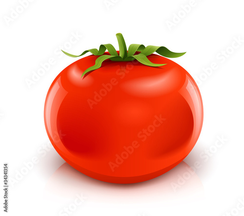 red ripe tomato vector