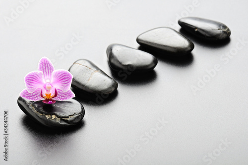 Photography Spa concept
