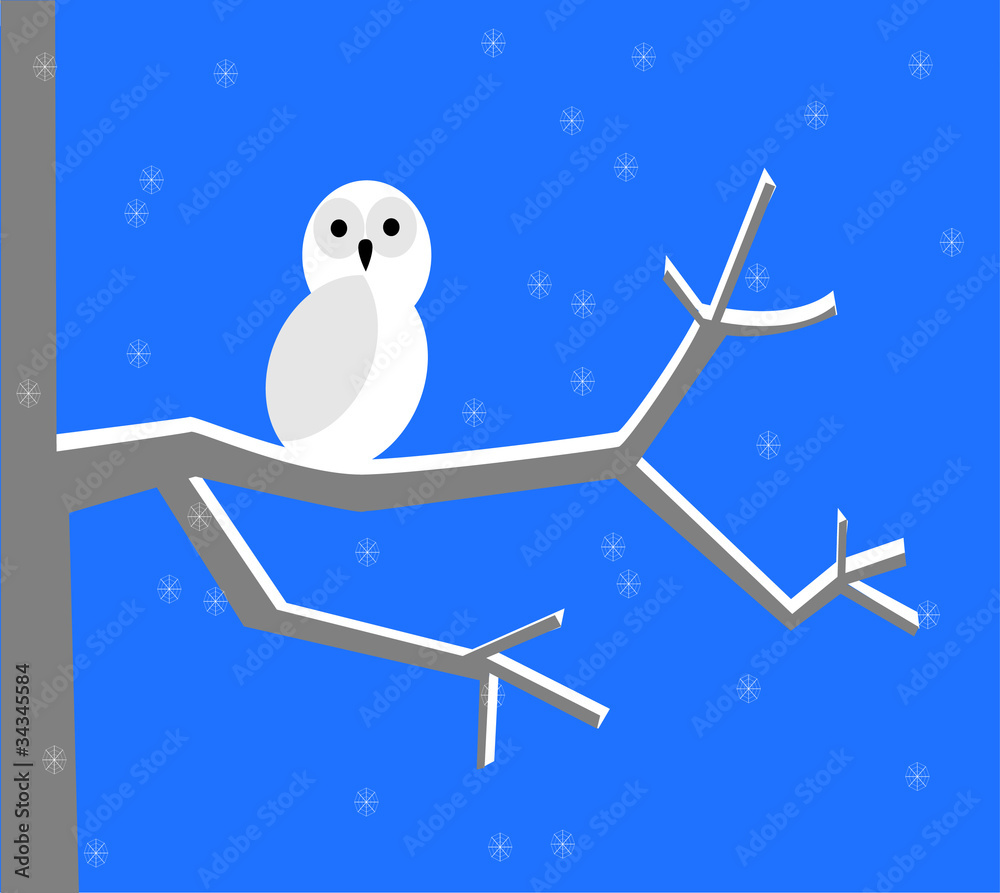 Snowy owl Snowy owl