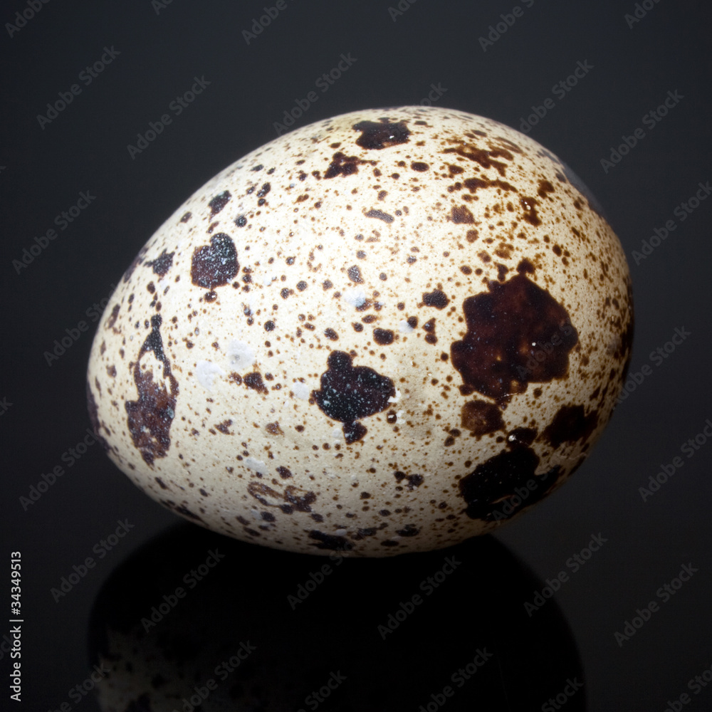 Three quail eggs on black Three quail eggs on black