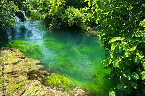 Emerald water in national park Krka, Croatia