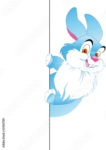 rabbit   peers