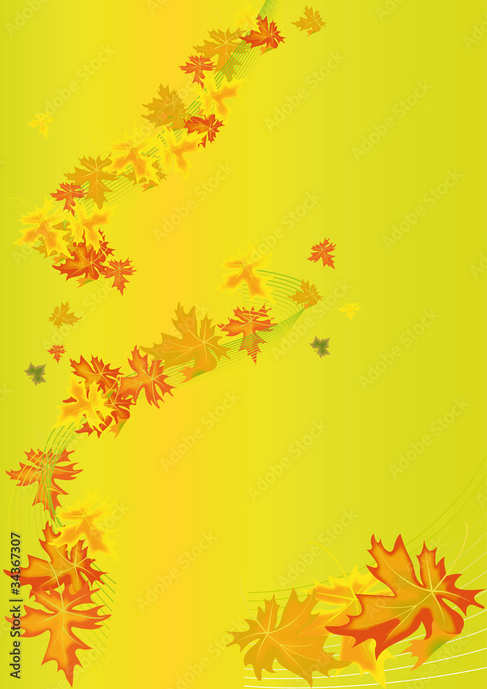 autumn maple leaf 2
