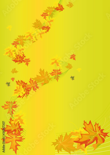autumn maple leaf 2