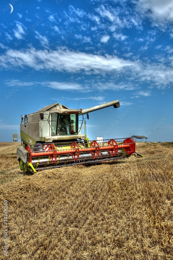 Fototapeta premium Moissonneuse batteuse