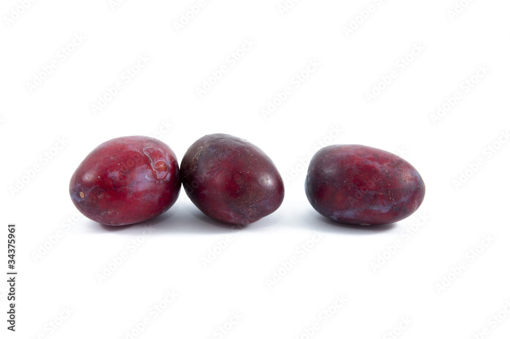 Obraz premium Hungarian Plum