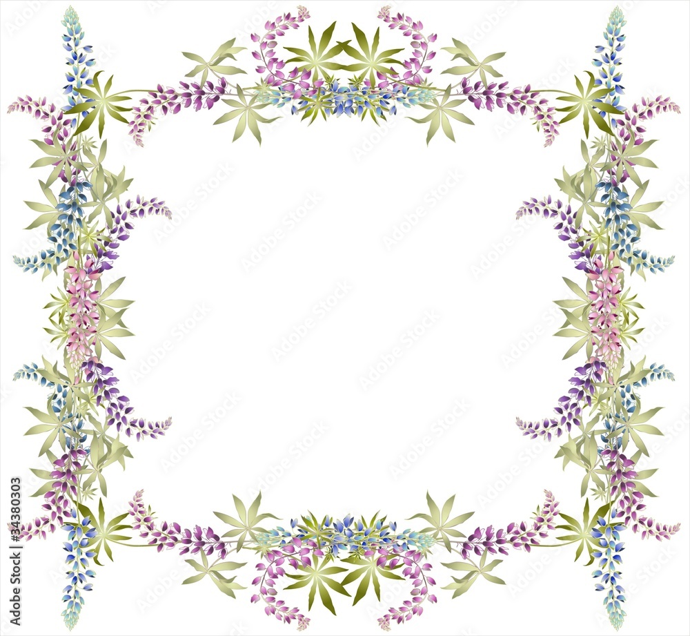 Greeting card with lupine Greeting card with lupine