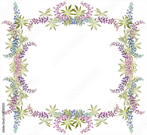 Wallpaper Mural Greeting card with lupine Torontodigital.ca