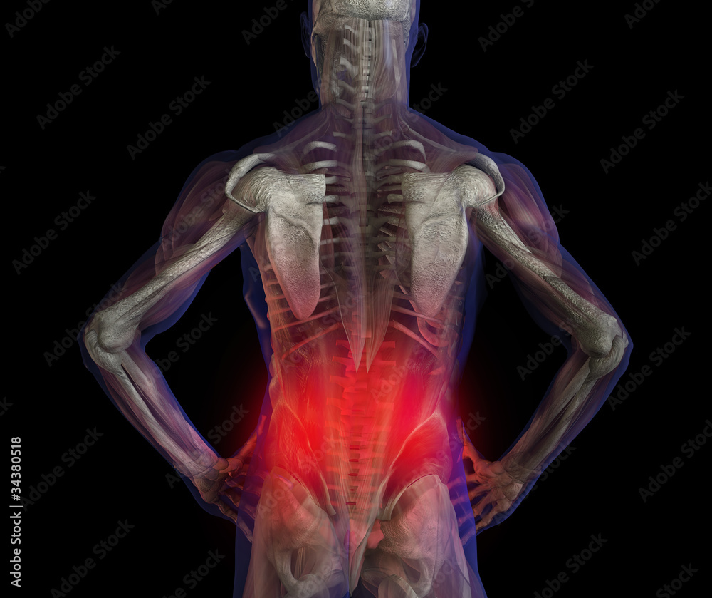 X-ray illustration of male human lower back pain pain. X-ray illustration of male human lower back pain pain.