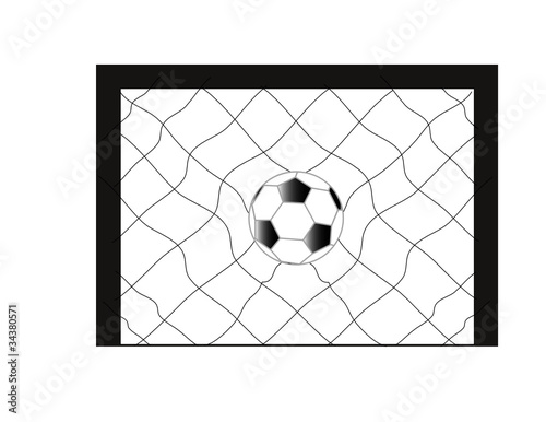 Football Soccer with net