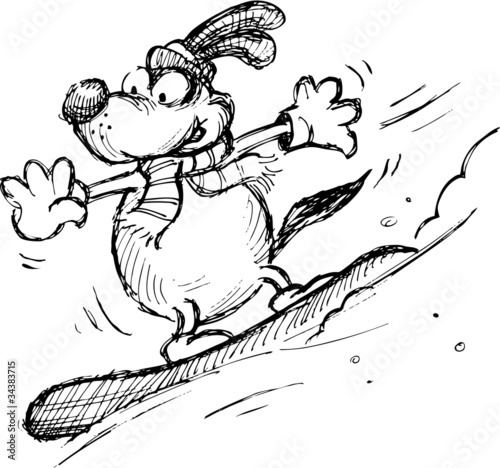 Dog on a snowboard