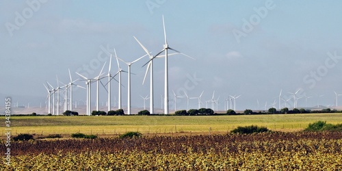 Molinos de viento photo