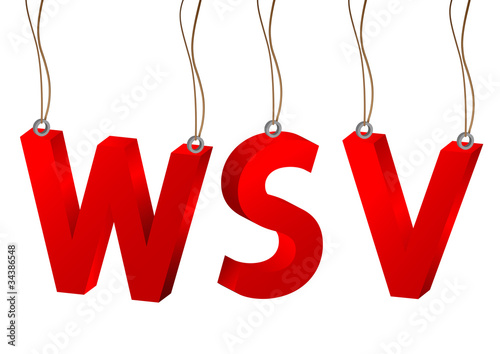 3D WSV