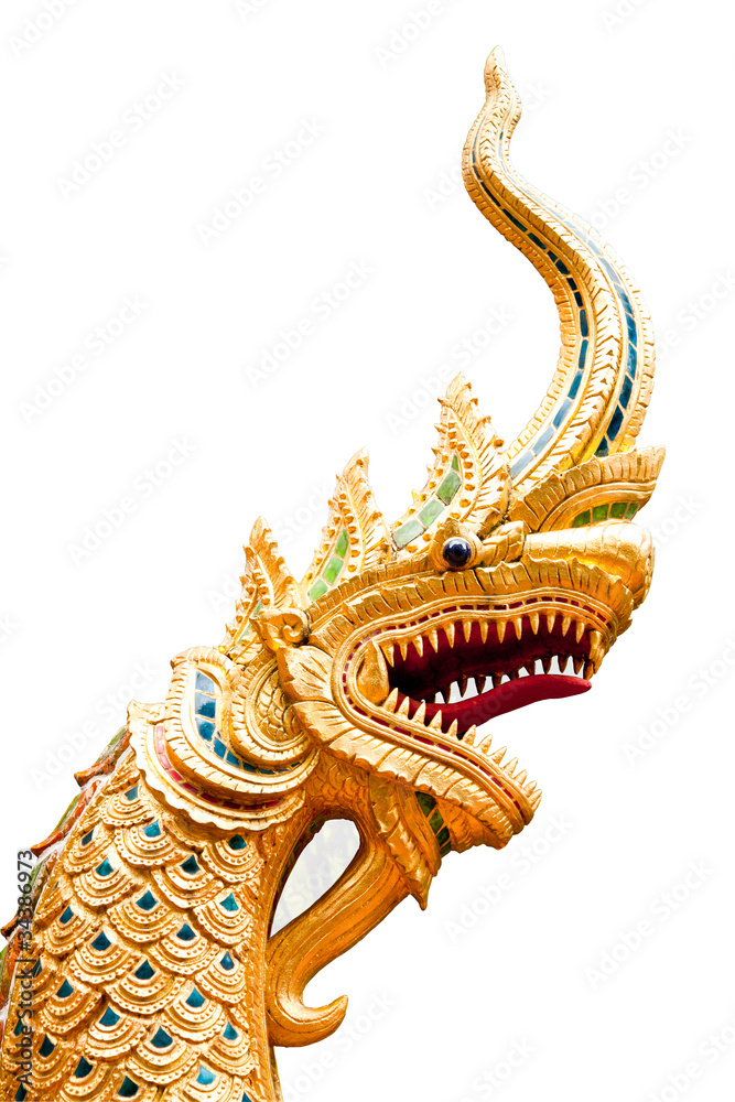 golden naga isolated on white background golden naga isolated on white background