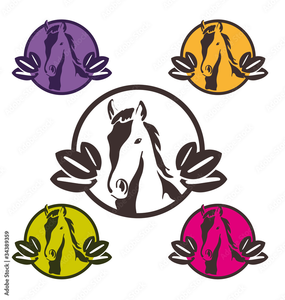 PICTOGRAMA CABALLOS