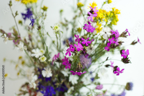 Bouquet of wild flowers on a white background