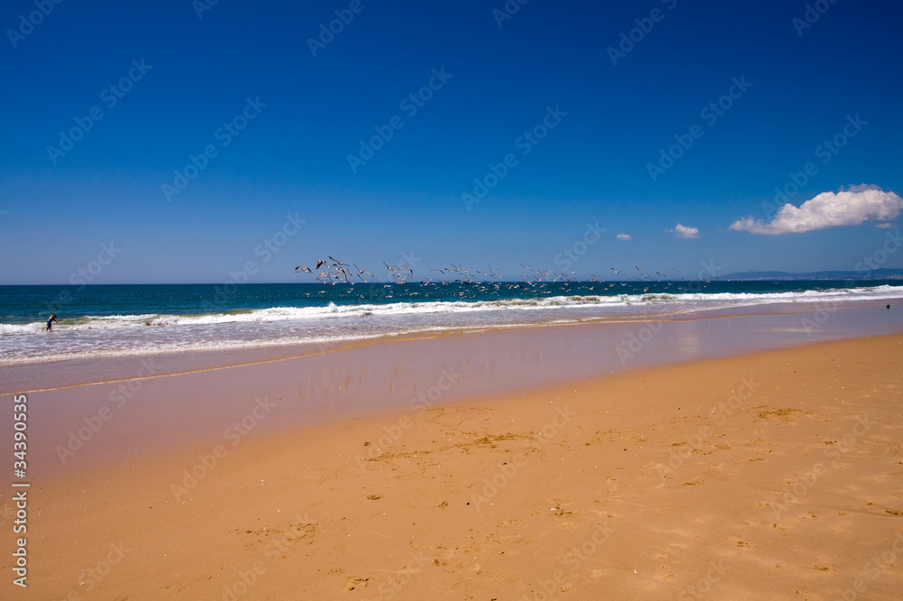 Piękna plaża Portugalii