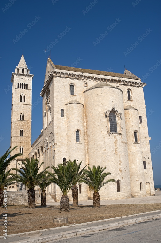 Trani (Puglia, Italy) - Medieval cathedral and palm trees