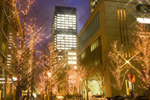 東京・丸の内のクリスマスイルミネーション