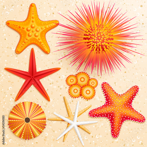 collection on sand background.
