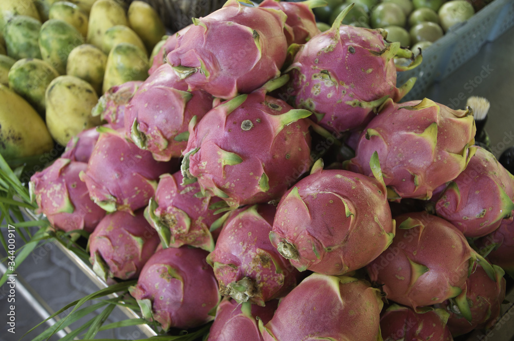 dragon fruit dragon fruit