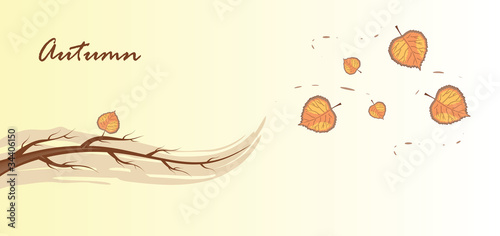 Bare branch and aspen leaves, vector illustration