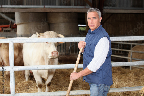 Canvas-taulu Cow farmer