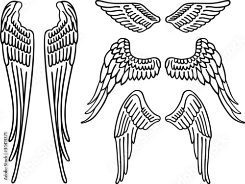 Angel wings  vector 