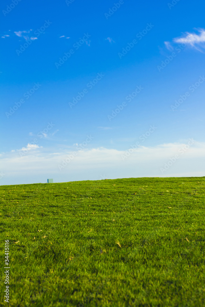 Lonesome Acres Of Green