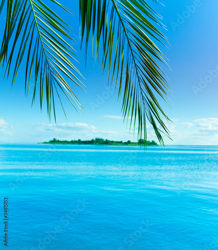 Landscape Palm Island © alma_sacra