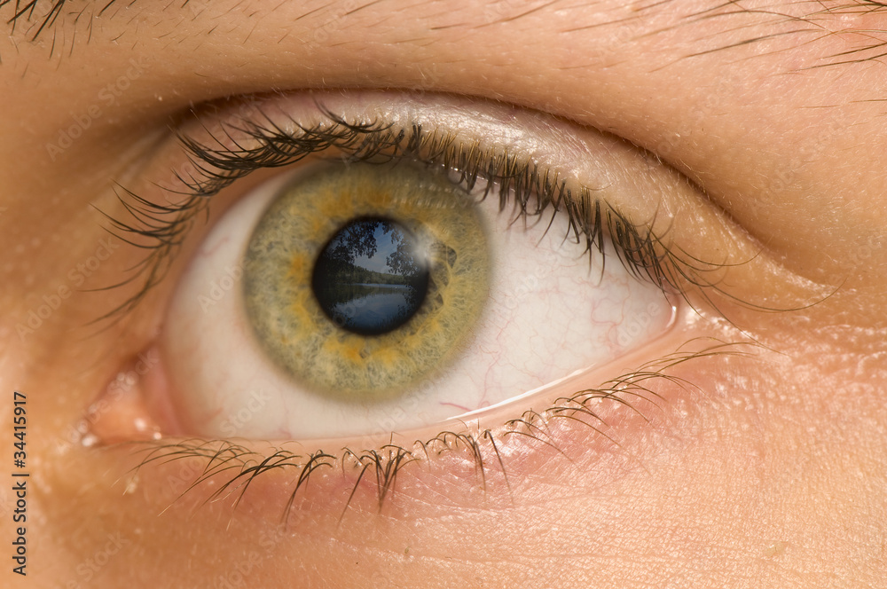 Fototapeta premium Eye