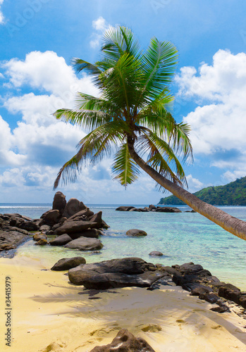 Scene Coconut Beach
