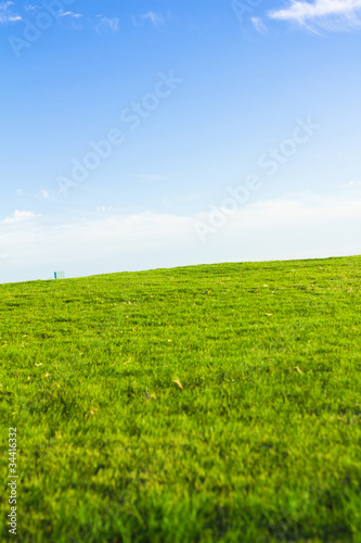 Golf Club Landscape