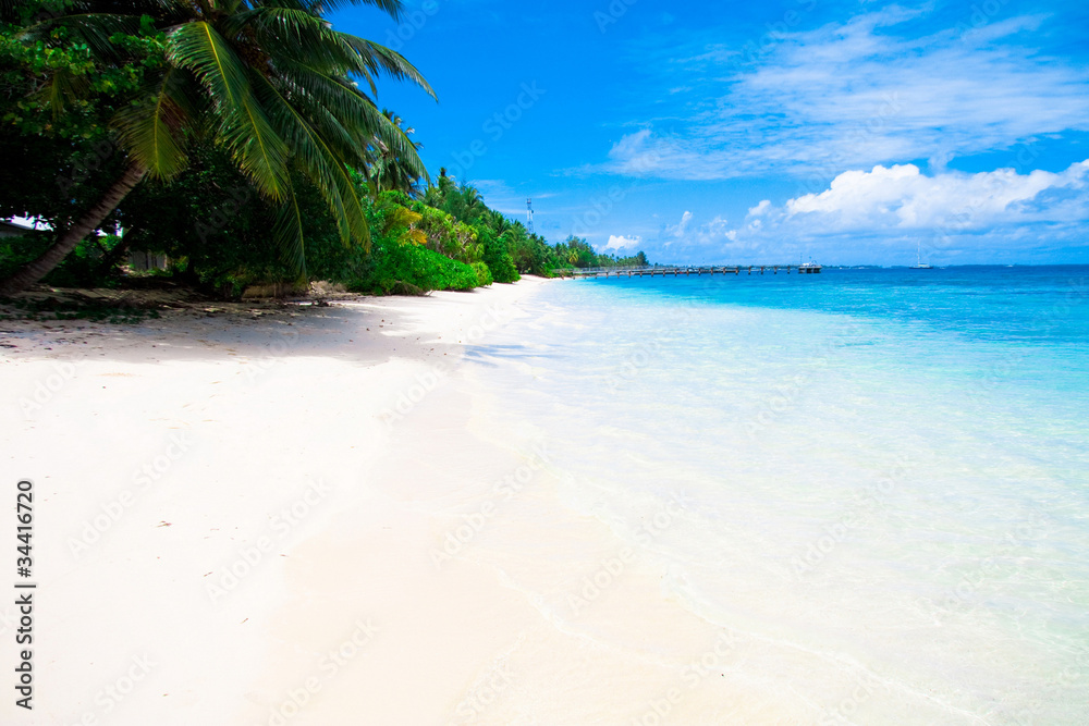 Fototapeta premium Beauty Peace View