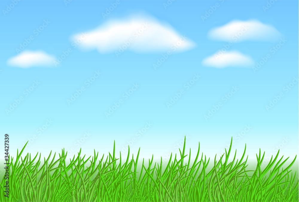 Meadow grass and clouds