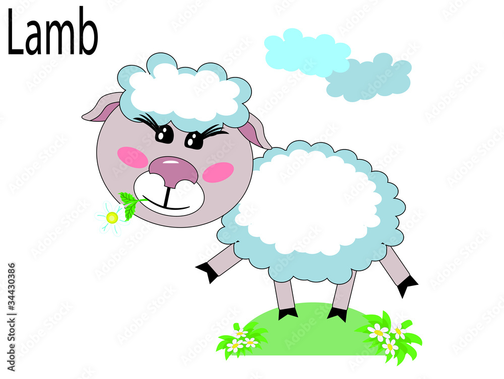 Obraz premium Vector animals,lamb
