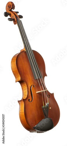 Violin