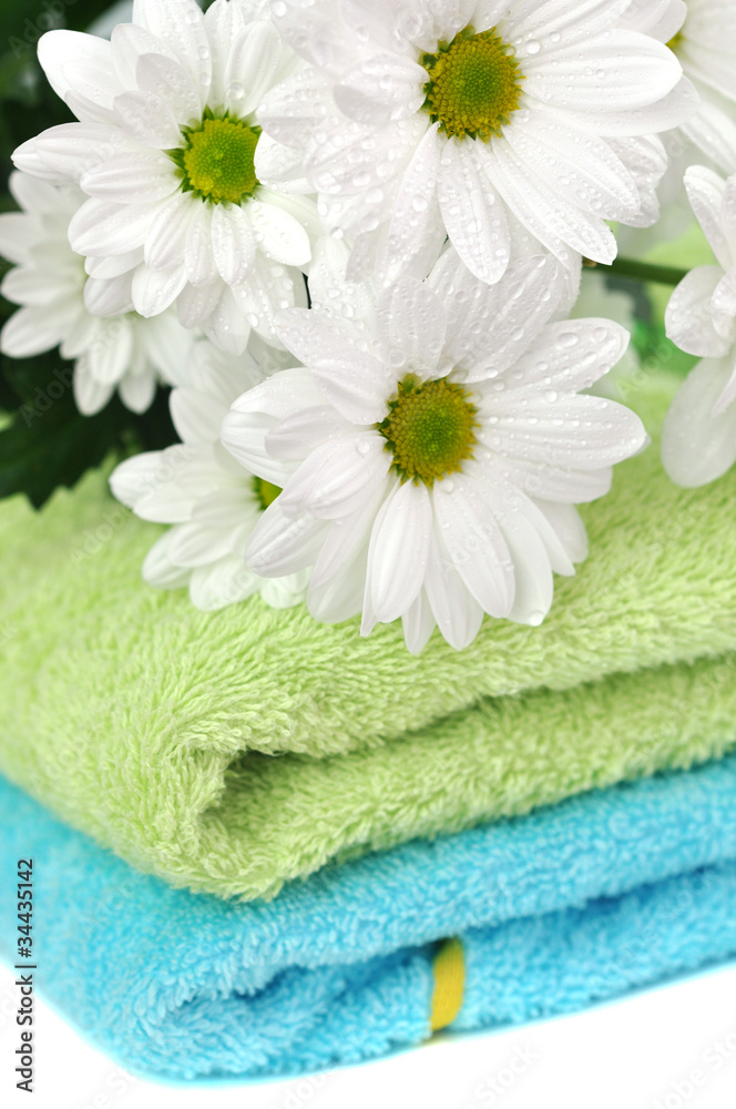 Fresh Towels Fresh Towels