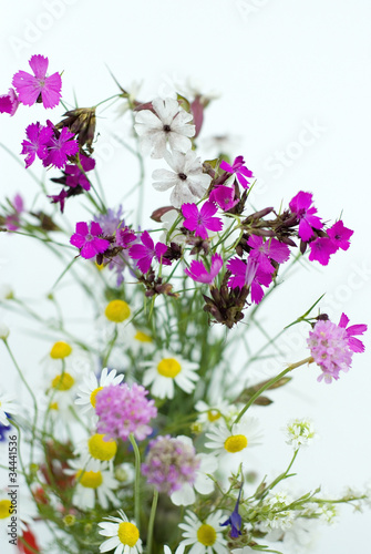 Bouquet of wild flowers on a white background