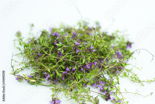 Herbal medicine,forest thyme on white background