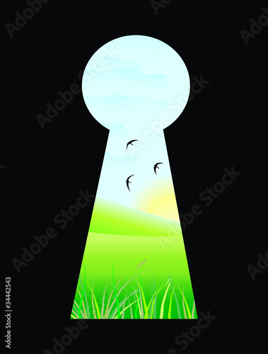 Looking through a keyhole