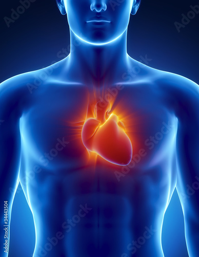Human heart in detail with glowing rays #34443504