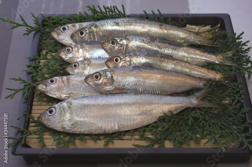 岡山県産のママカリ