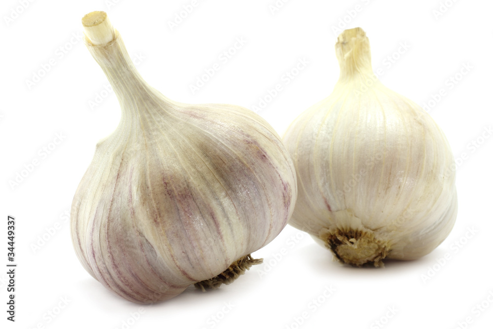 Fototapeta premium Two big garlics