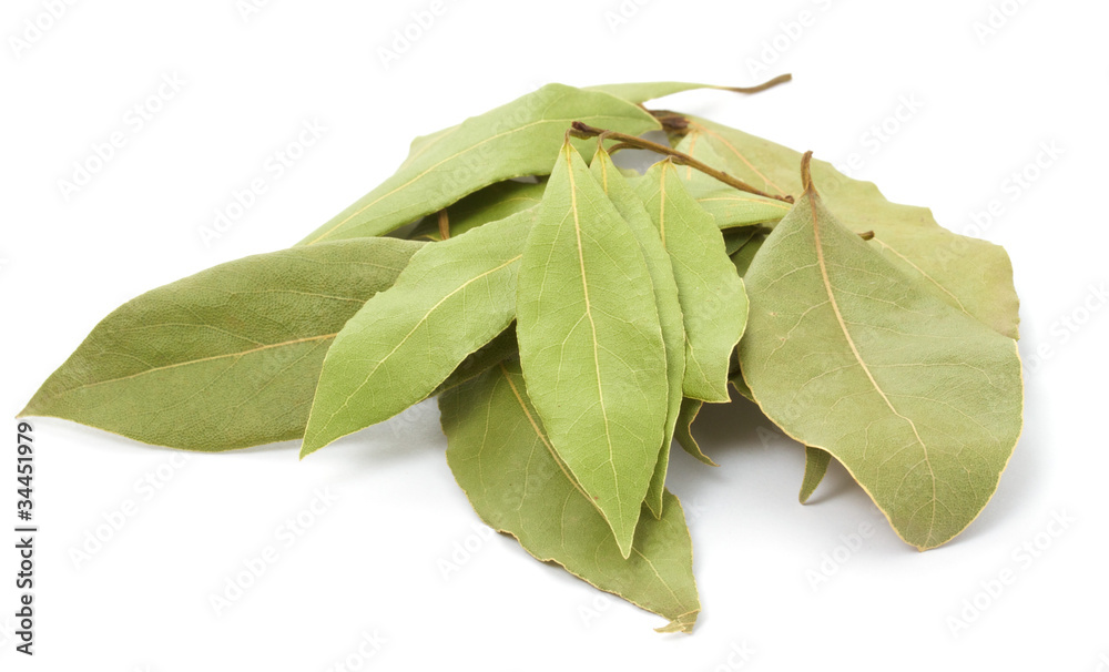 Fototapeta premium Laurel leaves isolated on white