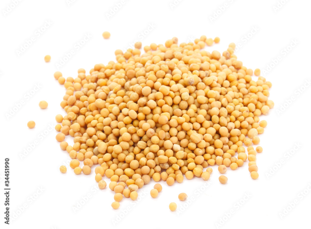 Yellow mustard seeds isolated Yellow mustard seeds isolated