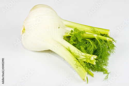 Fennel on white background