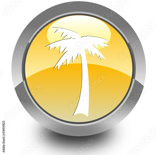 Palm glossy icon