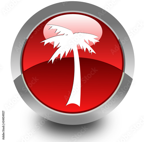 Palm glossy icon