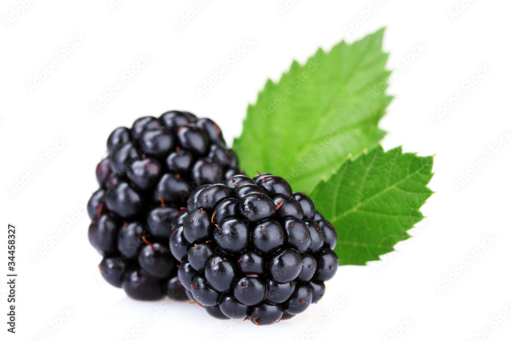 beautiful blackberries isolated on white